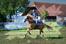 ref. photo 3285632