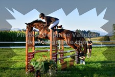 ref. photo 3285713