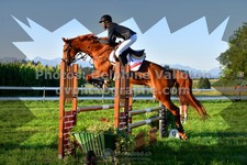 ref. photo 3285720