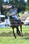 ref. photo 3285764