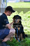 ref. photo 3285801
