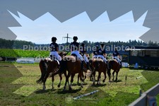 ref. photo 3285830