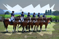 ref. photo 3285833