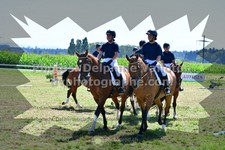 ref. photo 3285834