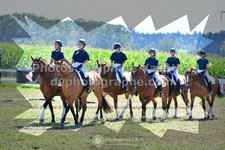 ref. photo 3285837