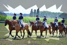 ref. photo 3285838