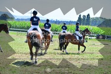 ref. photo 3285843