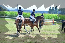 ref. photo 3285844