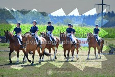 ref. photo 3285850