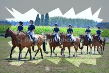 ref. photo 3285851