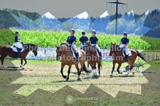 ref. photo 3285858
