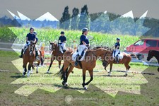 ref. photo 3285864