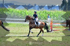 ref. photo 3285867