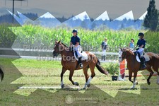 ref. photo 3285868