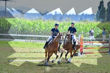 ref. photo 3285870