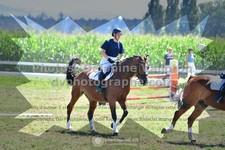 ref. photo 3285871