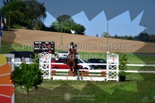 ref. photo 3285902
