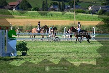 ref. photo 3285904