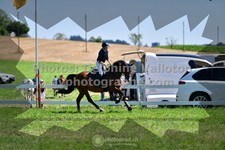 ref. photo 3285917