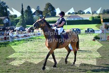 ref. photo 3285989
