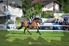 ref. photo 3286010