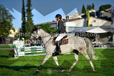 ref. photo 3286022