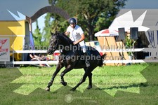 ref. photo 3286058