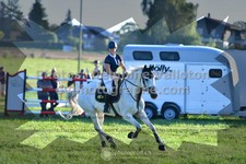 ref. photo 3286069