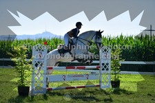 ref. photo 3286078