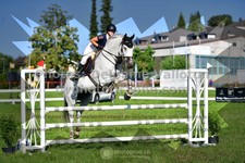 ref. photo 3286079