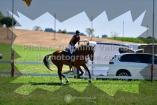 ref. photo 3286122