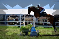 ref. photo 3286127