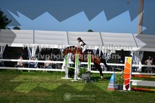 ref. photo 3286149