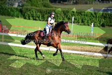 ref. photo 3286151