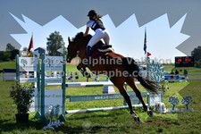 ref. photo 3286160