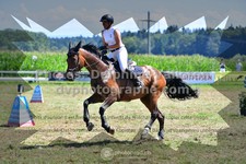 ref. photo 3286198