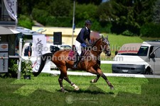 ref. photo 3286199