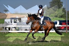 ref. photo 3286210