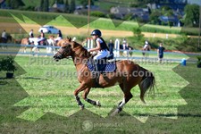 ref. photo 3286252