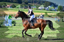 ref. photo 3286296