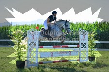ref. photo 3286397