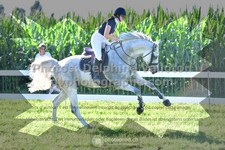 ref. photo 3286403