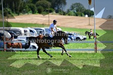 ref. photo 3286409