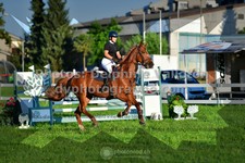 ref. photo 3286453