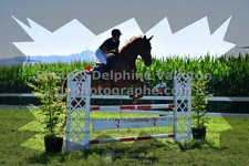 ref. photo 3286462