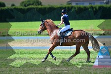 ref. photo 3286500