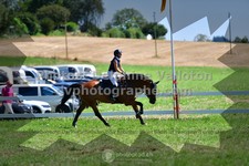 ref. photo 3286519