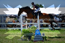 ref. photo 3286526