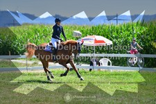 ref. photo 3286568