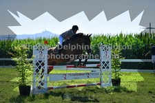 ref. photo 3286626